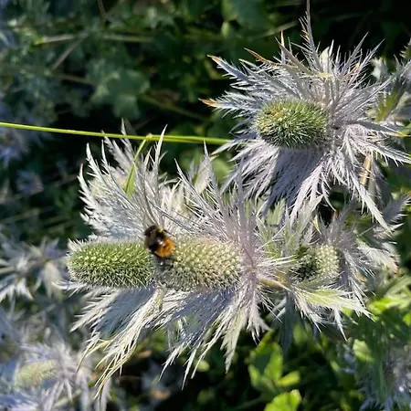 In&out, Lenzerheide Freistehendes Chalet, Urchig, Gross *