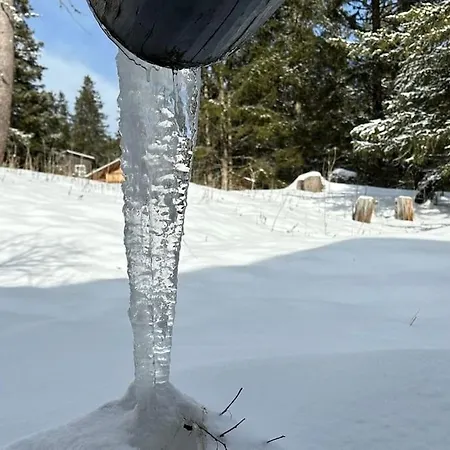 In&out, Lenzerheide Freistehendes Chalet, Urchig, Gross וילה *