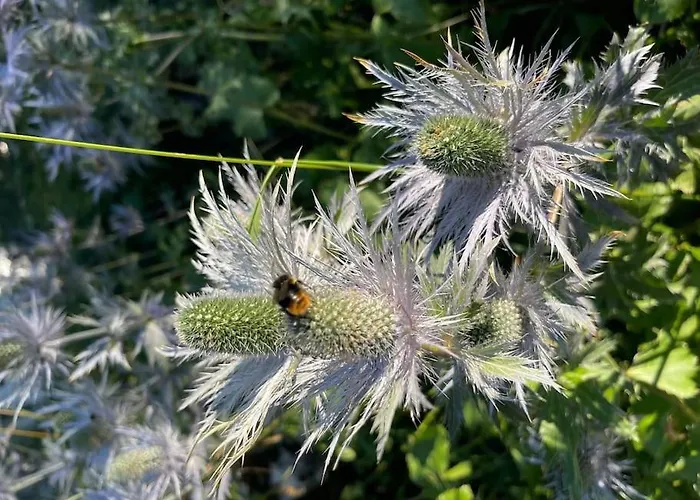 In&out, Lenzerheide Freistehendes Chalet, Urchig, Gross *