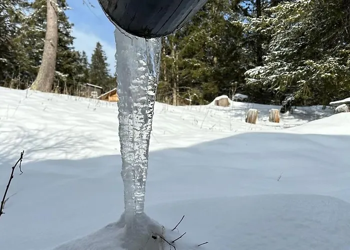 In&out, Lenzerheide Freistehendes Chalet, Urchig, Gross Villa *